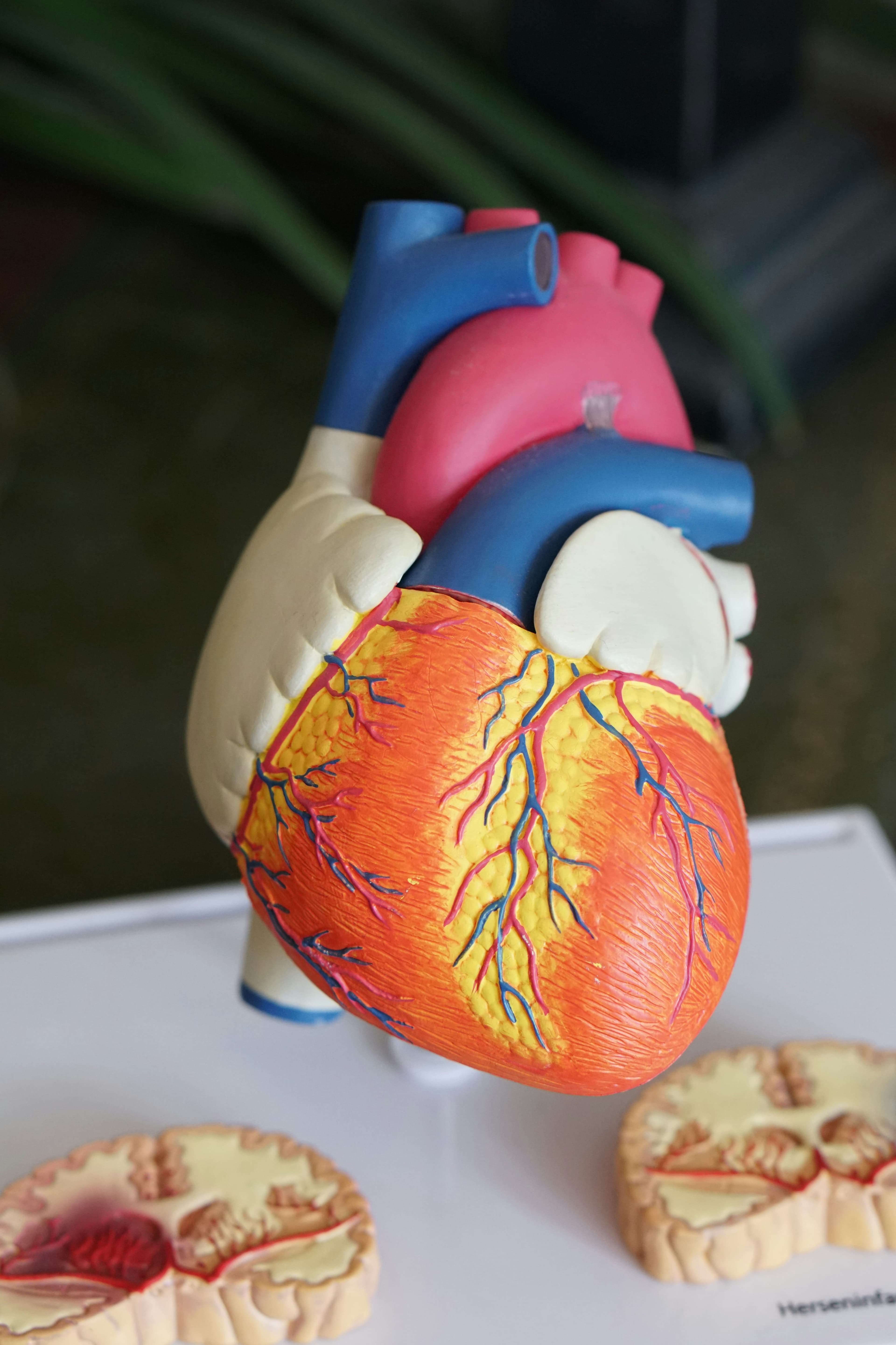 Lipoprotein(a): The Genetic Cardiovascular Risk You Can't Ignore
